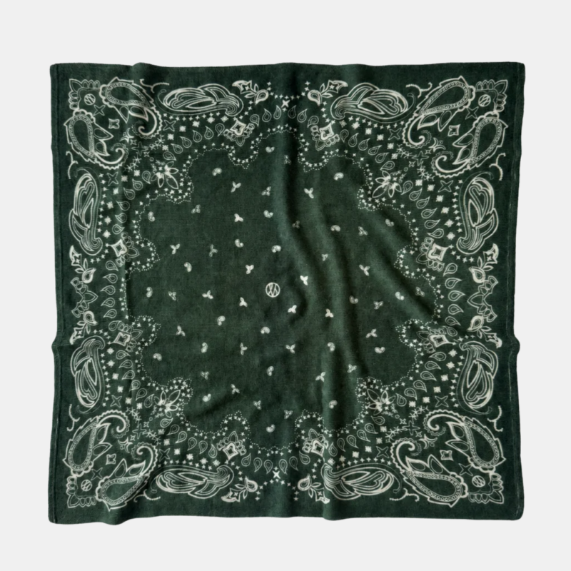 LESCARF CASHMERE PAISLEY SCARF GREEN 65 CM